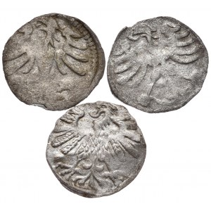 Zestaw 3 denarów litewskich Aleksandra i Zygmunta Augusta