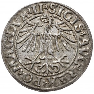 Zygmunt II August, Półgrosz 1549, Wilno - LI/LITVA