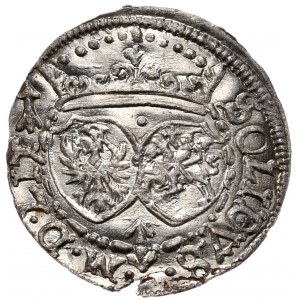 Zygmunt III Waza, szeląg 1617, Wilno, skrócona data