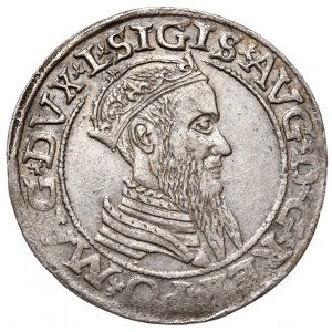 Zygmunt II August, czworak 1565, Wilno, L/LITV