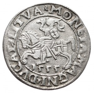 Zygmunt II August, półgrosz 1555, Wilno, LI/LITVA