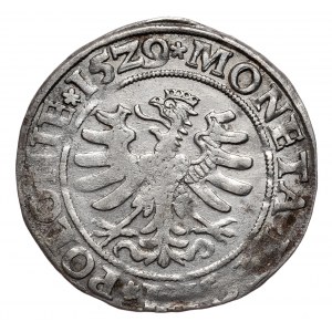 Zygmunt I Stary, grosz 1529, Kraków