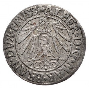 Ducal Prussia, Albrecht Hohenzollern, Penny 1541, Königsberg