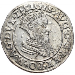 Zygmunt II August, czworak 1569, Wilno, L/LITVA