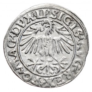 Zygmunt II August, Półgrosz 1549/8, Wilno - LI/LITVA, przebitka daty