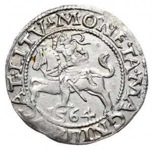 Sigismund II. Augustus, Halbpfennig 1564, Wilna - L/LITV