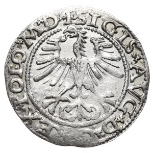 Zygmunt II August, Półgrosz 1564, Wilno - L/LITV