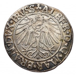 Prusy Książęce, Albrecht Hohenzollern, grosz 1543, Królewiec