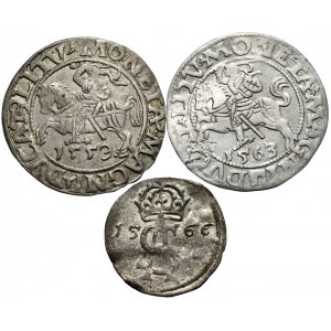 Zygmunt II August, zestaw 3 monet - półgrosze 1559 i 1563, dwudenar 1566, Wilno