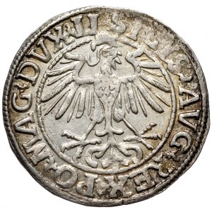 Sigismund II Augustus, Half-penny 1550, Vilnius - LI/LITVA