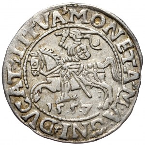 Sigismund II. Augustus, Halbergroschen 1557, Wilna - LI/LITVA