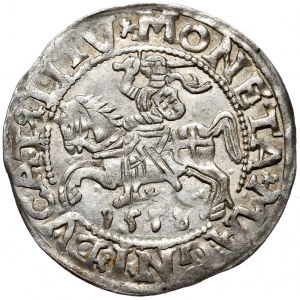 Sigismund II Augustus, Halbpfennig 1558/5, Vilnius - L/LITV, Interpunktion der letzten Ziffer des Datums