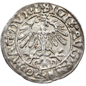 Sigismund II Augustus, Halbpfennig 1558/5, Vilnius - L/LITV, Interpunktion der letzten Ziffer des Datums
