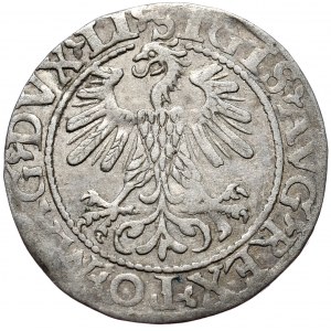 Zygmunt II August, Półgrosz 1560, Wilno - LI/LITV