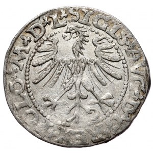 Sigismund II Augustus, Half-grosz 1563, Vilnius - L/LITV, small Pogon