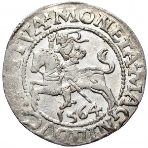 Sigismund II Augustus, Half-penny 1564, Vilnius - L/LITVA