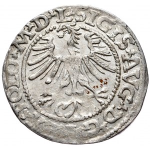 Sigismund II Augustus, Half-penny 1564, Vilnius - L/LITVA