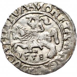 Sigismund II Augustus, Half-penny 1558, Vilnius - LI/LITVA