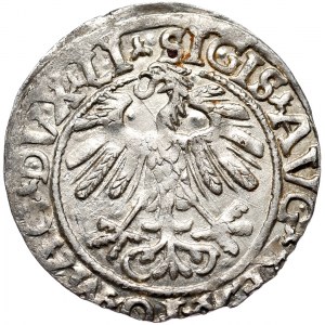 Sigismund II. Augustus, Halbergroschen 1558, Wilna - LI/LITVA