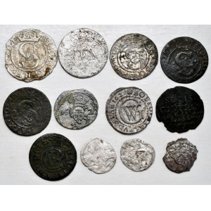 Zestaw 12 drobnych monet, w tym szeląg elbląski Augusta III z podwójnie wybita stroną nominałową