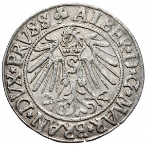 Ducal Prussia, Albrecht Hohenzollern, penny 1541, Königsberg