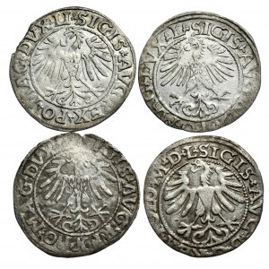 Zestaw 4 półgroszy litewskich Zygmunta Augusta 1547, 1557,1561, 1565