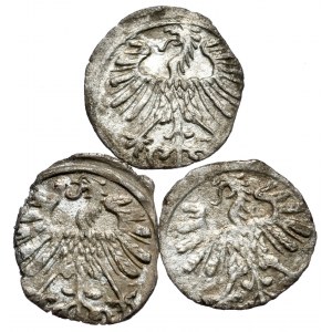 Zestaw 3 denarów litewskich 1557, 1558 i 1559