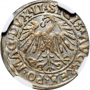 Sigismund II. Augustus, halber Pfennig 1546, Vilnius, LI/LITV
