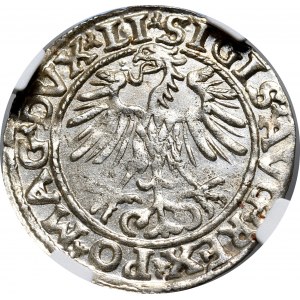 Sigismund II. Augustus, halber Pfennig 1553, Vilnius, LI/LITVA