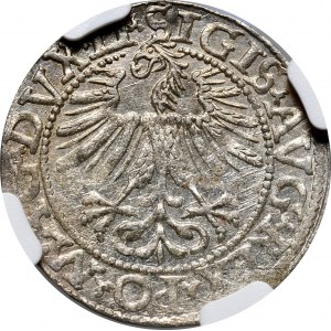 Sigismund II Augustus, Half-penny 1562, Vilnius - LI/LITVA