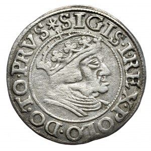 Sigismund I. der Alte, Pfennig 1538, Danzig