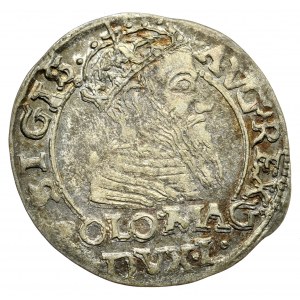 Sigismund II Augustus, Grosz na stopa polską 156(6)6, Tykocin, L/LI