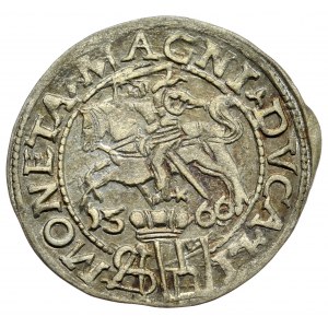Sigismund II Augustus, Grosz na stopa polską 156(6)6, Tykocin, L/LI