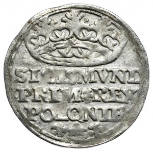 Sigismund I the Old, penny 1528, Cracow, POLOONIE