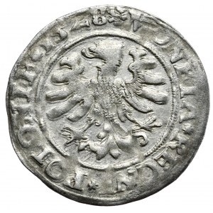 Sigismund I. der Alte, Pfennig 1528, Krakau, POLOONIE