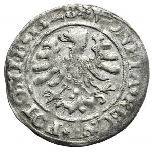 Sigismund I the Old, penny 1528, Cracow, POLOONIE