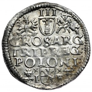 Zygmunt III Waza, trojak 1595, Wschowa, POLONI: