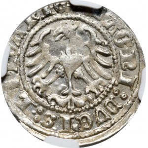 Sigismund I. der Alte, halber Pfennig 1512, Vilnius