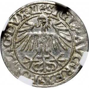 Zygmunt II August, półgrosz 1549, Wilno- LI/LITVA