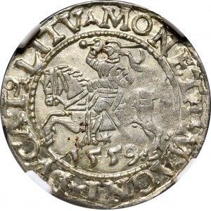 Sigismund II Augustus, Half-penny 1559, Vilnius - L/LITV