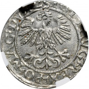 Sigismund II Augustus, half-penny 1561, Vilnius, L/LITV