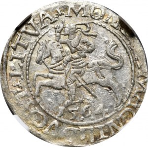 Sigismund II Augustus, half-penny 1564, Vilnius, L/LITVA