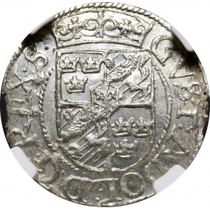 Gustav II. Adolf, Halbspur 1624, Riga