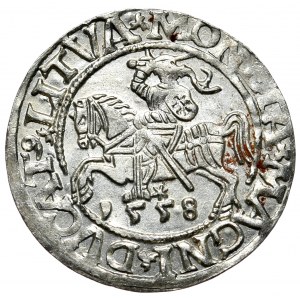 Sigismund II. Augustus, halber Pfennig 1558, Vilnius, LI/LITVA