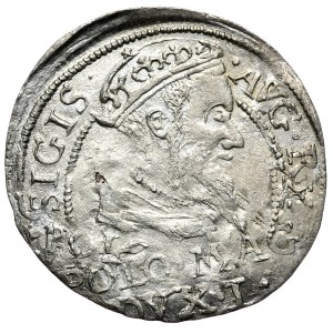 Sigismund II Augustus, Pfennig pro polnischen Fuß 1568, Tykocin, L/LIT