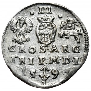 Sigismund III Vasa, Troika 1595, Vilnius, Chalecki and Prussia