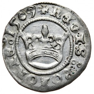 Sigismund I. der Alte, halber Pfennig 1509, Krakau, SCHÖN