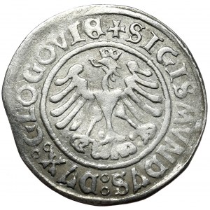 Sigismund I. der Alte, Grosz 1506, Głogów