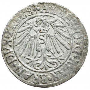Preußen, Albrecht Hohenzollern, Pfennig 1541, Königsberg