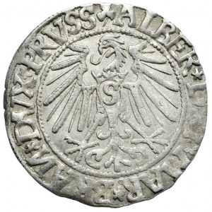 Herzogliches Preußen, Albrecht Hohenzollern, Pfennig 1544, Königsberg